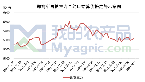 白糖最新价格，市场分析与趋势预测